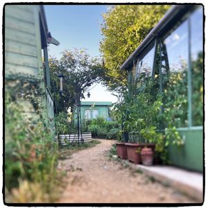 The path to the print shed